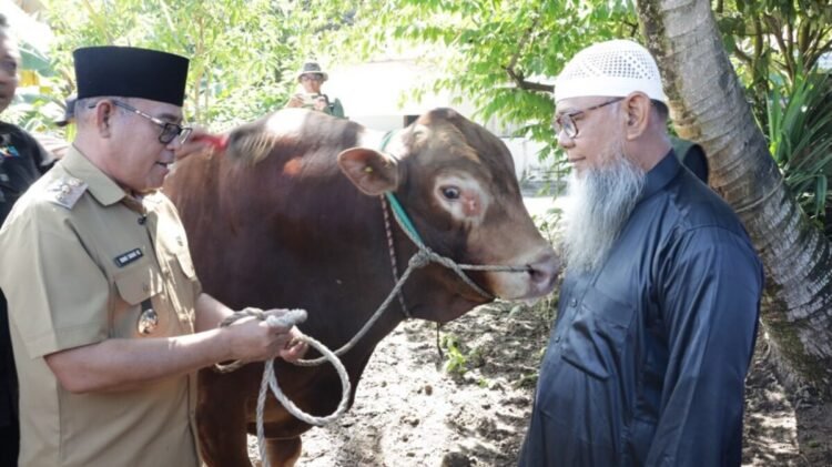 Tarakan Terima Bantuan Sapi Qurban Presiden, Ibnu Saud: Perkuat Semangat Berbagi