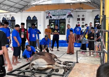 Iduladha 1447 H, Masjid Quba Tarakan Salurkan Daging Kurban untuk 600 Mustahik