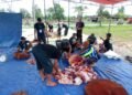 Empat Ekor Sapi Kurban Disembelih di Masjid Baitul Amin PNS Juata Permai