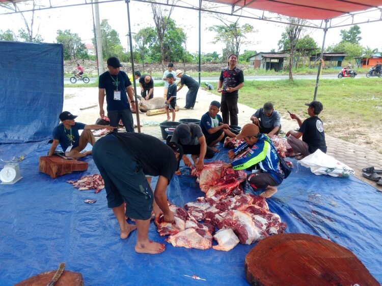 Empat Ekor Sapi Kurban Disembelih di Masjid Baitul Amin PNS Juata Permai