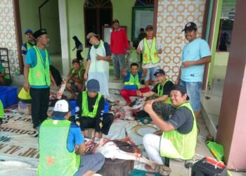 Iduladha 1447 H, Masjid Jami Al Mubarok Juata Permai Potong 13 Ekor Sapi Kurban