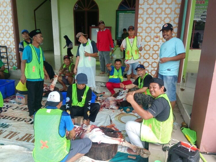 Iduladha 1447 H, Masjid Jami Al Mubarok Juata Permai Potong 13 Ekor Sapi Kurban