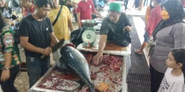 Pasar Ikan Higienis Tarakan Jadi Mesin Baru Ekonomi Perikanan dan Penyeimbang Harga