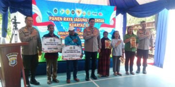 Kapolda Kaltara Bersama Petani Panen Jagung di Mamburungan Timur