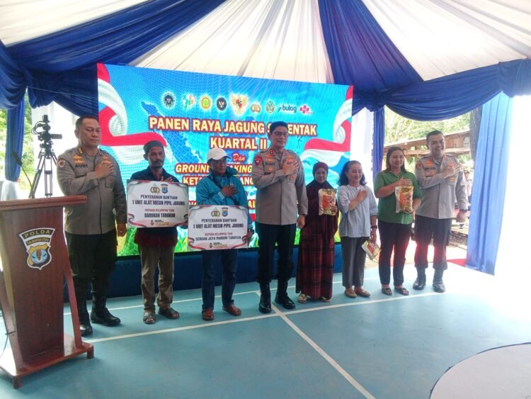Kapolda Kaltara Bersama Petani Panen Jagung di Mamburungan Timur