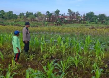 Lewat Patroli Dialogis, Polres Tarakan Dorong Masyarakat Optimalkan Lahan Produktif