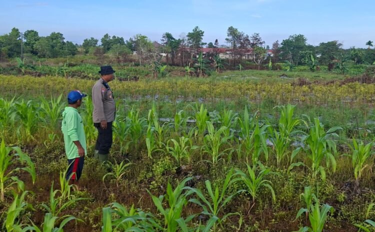 Lewat Patroli Dialogis, Polres Tarakan Dorong Masyarakat Optimalkan Lahan Produktif