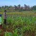 Lewat Patroli Dialogis, Polres Tarakan Dorong Masyarakat Optimalkan Lahan Produktif
