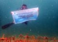 PHI Rayakan Hari Terumbu Karang Sedunia Lewat Aksi Nyata Selamatkan Laut Kaltim