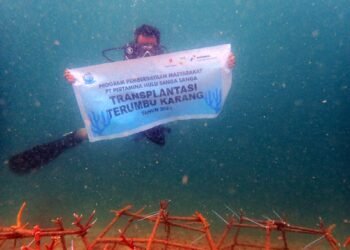 PHI Rayakan Hari Terumbu Karang Sedunia Lewat Aksi Nyata Selamatkan Laut Kaltim