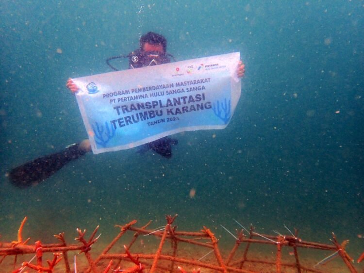 PHI Rayakan Hari Terumbu Karang Sedunia Lewat Aksi Nyata Selamatkan Laut Kaltim