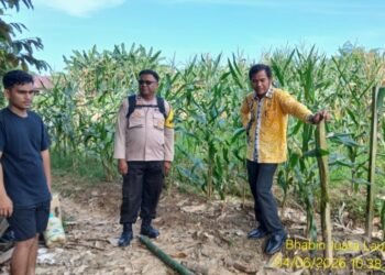 Polisi Turun ke Lahan, Bhabinkamtibmas Polres Tarakan Perkuat Ketahanan Pangan Bersama Warga