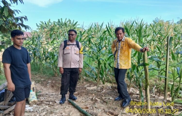 Polisi Turun ke Lahan, Bhabinkamtibmas Polres Tarakan Perkuat Ketahanan Pangan Bersama Warga
