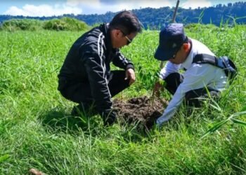 Ikuti Penghijauan Rakernas ADPSI, Achmad Djufrie Dorong Kaltara Perkuat Kebijakan Ramah Lingkungan