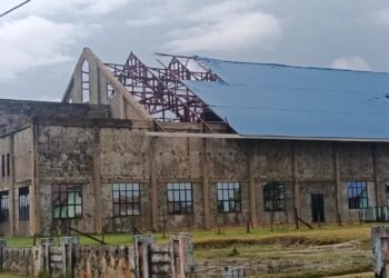 BPBD Laporkan Angin Ribut Terjang Krayan, BMKG Sebut Bukan Puting Beliung