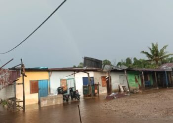 Angin Kencang Terjang Juata Permai, Sejumlah Rumah Rusak dan Pohon Tumbang