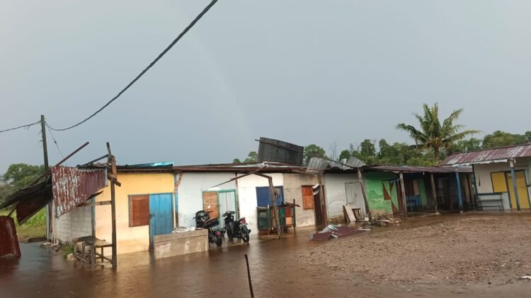 Angin Kencang Terjang Juata Permai, Sejumlah Rumah Rusak dan Pohon Tumbang