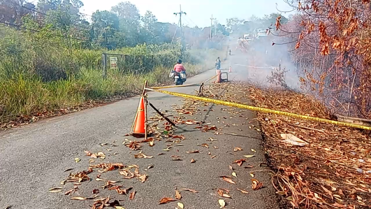 Asap Batu Bara Karhutla Muncul di Jalan Amal, Aktivitas UBT Terancam Terganggu
