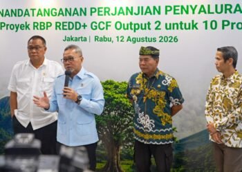 Rp41,5 Miliar Dana REDD+ Masuk Kaltara, Gubernur Prioritaskan Pemulihan Hutan