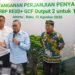Rp41,5 Miliar Dana REDD+ Masuk Kaltara, Gubernur Prioritaskan Pemulihan Hutan