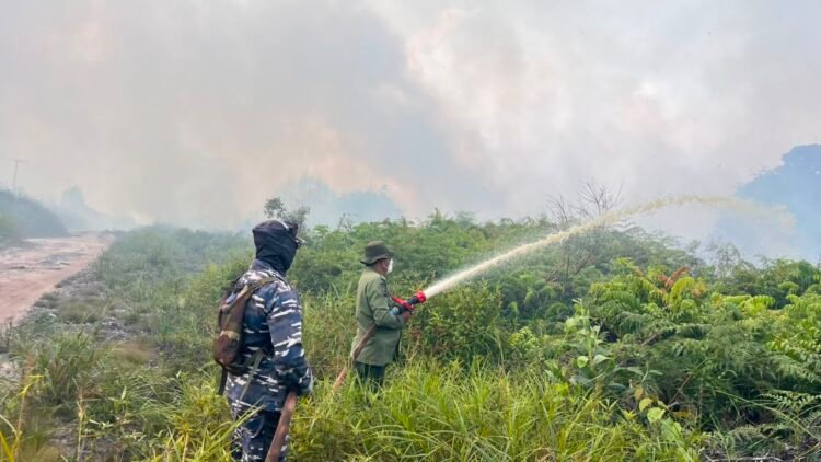Karhutla Mengintai, Pemprov Kaltara Minta Warga Hindari Pembakaran Lahan