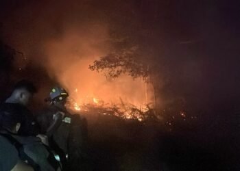 35 Personel Ditsamapta Polda Kaltara Turun Padamkan Kebakaran Lahan di Desa Apung