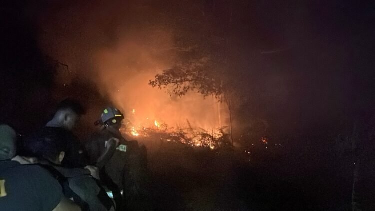 35 Personel Ditsamapta Polda Kaltara Turun Padamkan Kebakaran Lahan di Desa Apung
