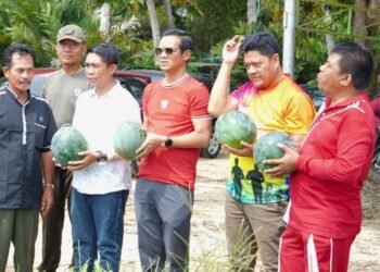 Dari Selisun untuk Nunukan, Panen Perdana Hortikultura Buka Harapan Baru Petani