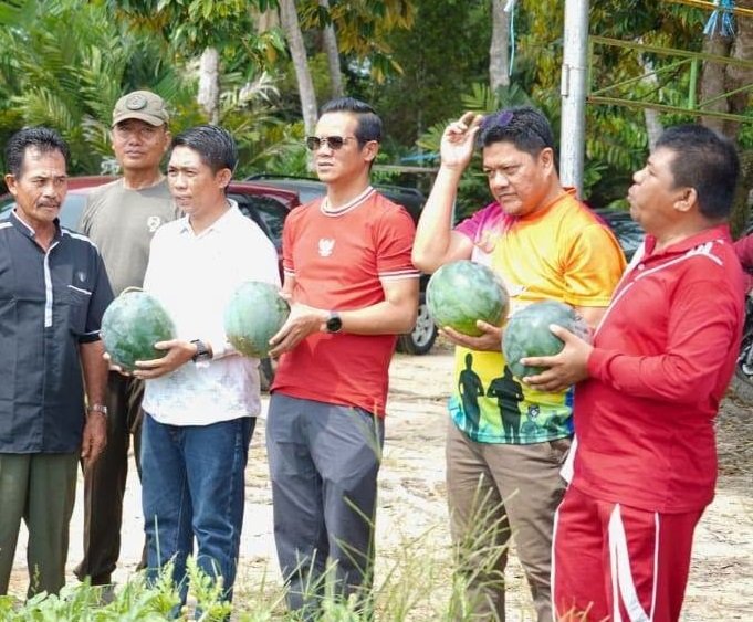 Dari Selisun untuk Nunukan, Panen Perdana Hortikultura Buka Harapan Baru Petani