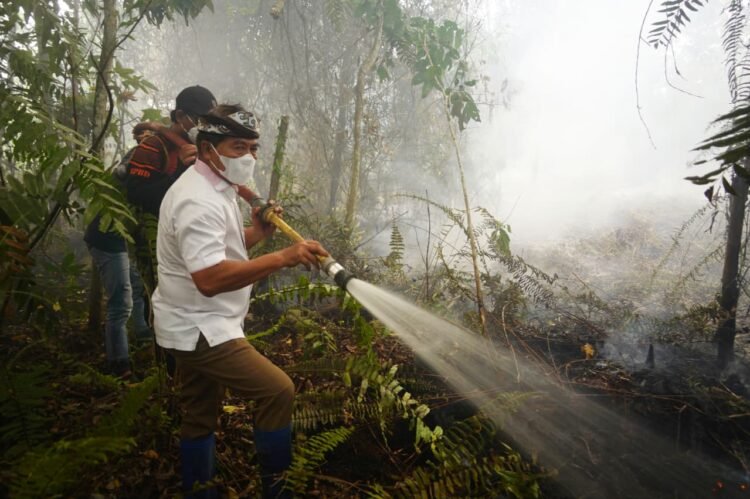 Gubernur Kaltara Turun Langsung Padamkan Karhutla di Selimau