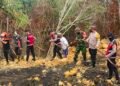 Kapolres Tarakan Tinjau Titik Api Batu Bara di Pantai Amal