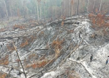 Karhutla Mangkupadi Masuk Penyelidikan, Polda Kaltara Cek Lokasi dan Kumpulkan Data