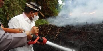 Luasan Karhutla Kaltara Baru 400 Hektare, Dishut Tetap Siaga Hadapi September